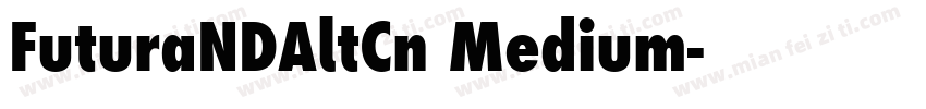 FuturaNDAltCn Medium字体转换